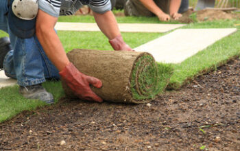 Landscaping