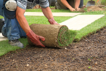 How to Get Started in Landscaping